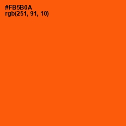 #FB5B0A - International Orange Color Image