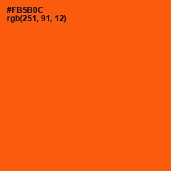 #FB5B0C - International Orange Color Image