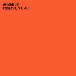 #FB5B30 - Flamingo Color Image