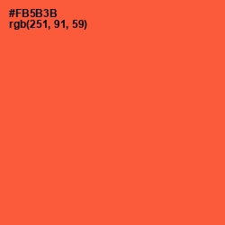 #FB5B3B - Flamingo Color Image