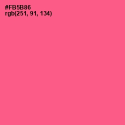 #FB5B86 - French Rose Color Image