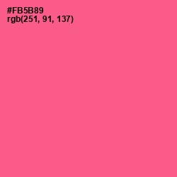 #FB5B89 - French Rose Color Image