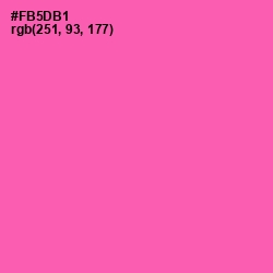 #FB5DB1 - Brilliant Rose Color Image