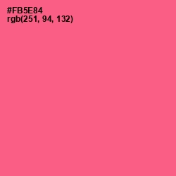 #FB5E84 - French Rose Color Image