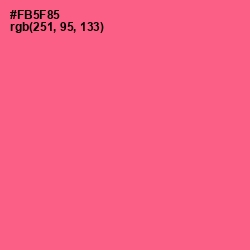 #FB5F85 - French Rose Color Image