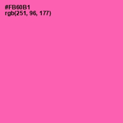 #FB60B1 - Hot Pink Color Image