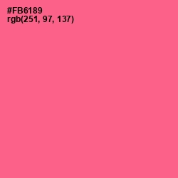 #FB6189 - Froly Color Image