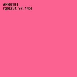 #FB6191 - Froly Color Image