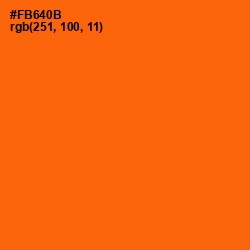 #FB640B - Blaze Orange Color Image