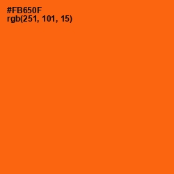 #FB650F - Blaze Orange Color Image