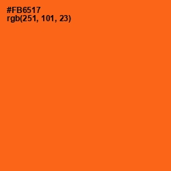 #FB6517 - Orange Color Image