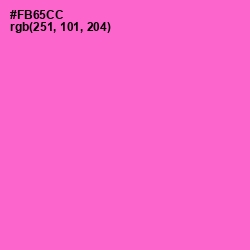 #FB65CC - Orchid Color Image