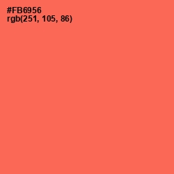 #FB6956 - Persimmon Color Image