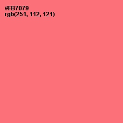 #FB7079 - Brink Pink Color Image