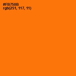 #FB750B - Sorbus Color Image