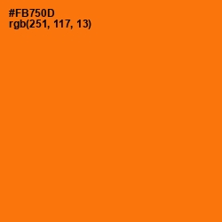 #FB750D - Sorbus Color Image