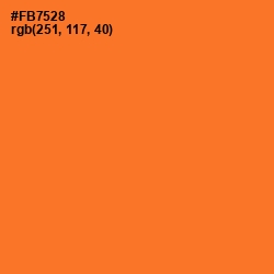 #FB7528 - Crusta Color Image