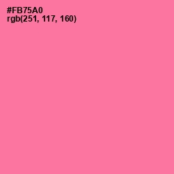 #FB75A0 - Hot Pink Color Image