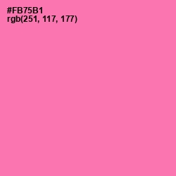 #FB75B1 - Persian Pink Color Image