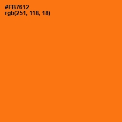 #FB7612 - Ecstasy Color Image
