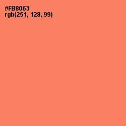 #FB8063 - Salmon Color Image