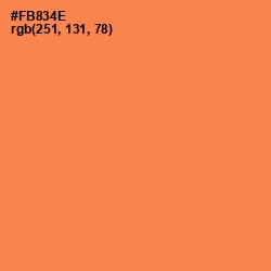 #FB834E - Tan Hide Color Image