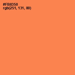 #FB8350 - Tan Hide Color Image