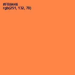 #FB8446 - Tan Hide Color Image