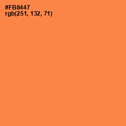 #FB8447 - Tan Hide Color Image