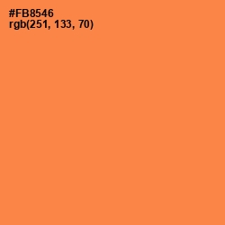 #FB8546 - Tan Hide Color Image