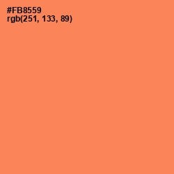 #FB8559 - Tan Hide Color Image