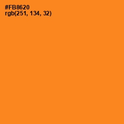 #FB8620 - Carrot Orange Color Image