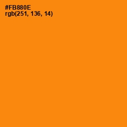 #FB880E - Tangerine Color Image