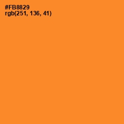 #FB8829 - Carrot Orange Color Image