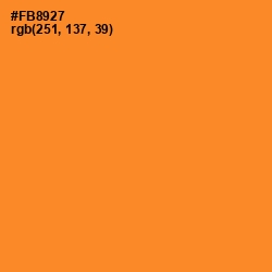 #FB8927 - Carrot Orange Color Image