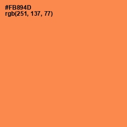 #FB894D - Tan Hide Color Image