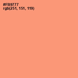 #FB9777 - Apricot Color Image