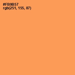 #FB9B57 - Tan Hide Color Image