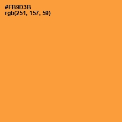 #FB9D3B - Neon Carrot Color Image