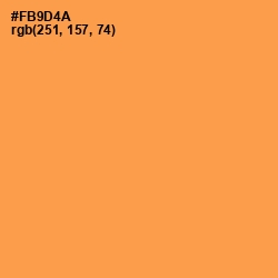 #FB9D4A - Tan Hide Color Image