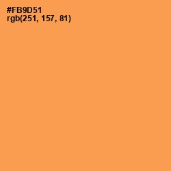 #FB9D51 - Tan Hide Color Image