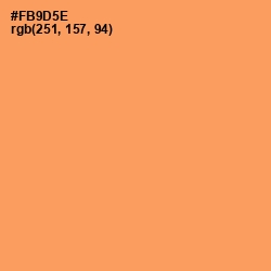 #FB9D5E - Tan Hide Color Image