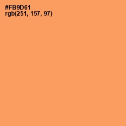 #FB9D61 - Atomic Tangerine Color Image