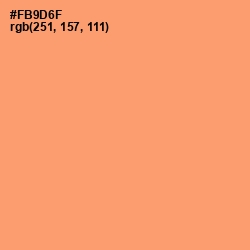 #FB9D6F - Atomic Tangerine Color Image