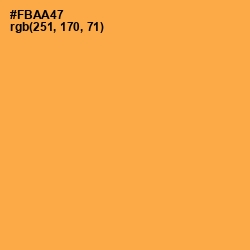 #FBAA47 - Yellow Orange Color Image