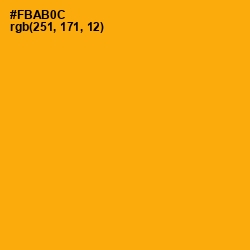 #FBAB0C - Yellow Sea Color Image