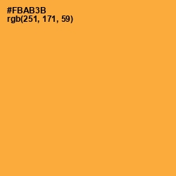 #FBAB3B - Tulip Tree Color Image