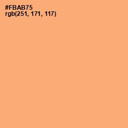 #FBAB75 - Macaroni and Cheese Color Image