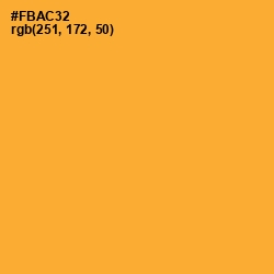 #FBAC32 - Sea Buckthorn Color Image