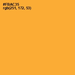 #FBAC35 - Sea Buckthorn Color Image